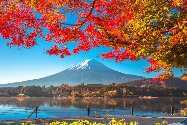 Japon Tradition & Modernité